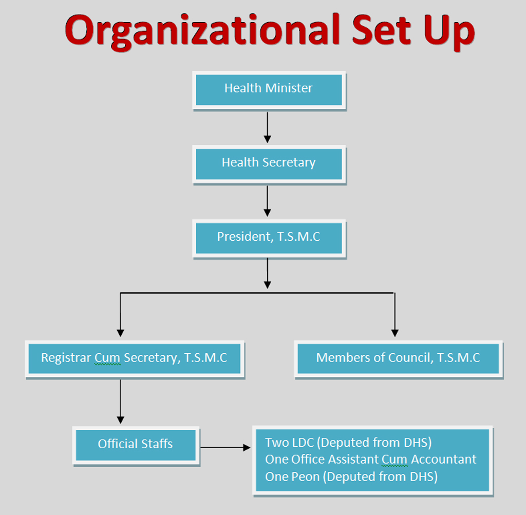 Organizational-set-up